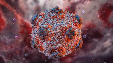 Virus Hanta nguy hiểm đến mức nào?