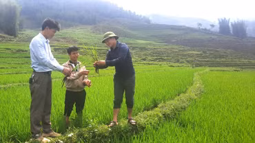 Nậm Có gắn công tác xây dựng Đảng với phát triển kinh tế