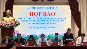 Công bố Lệnh của Chủ tịch nước về luật thuế liên quan đến hộ kinh doanh