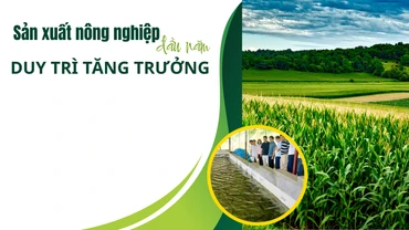 Sản xuất nông nghiệp đầu năm duy trì tăng trưởng