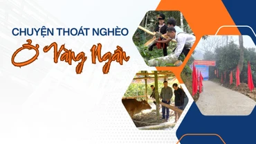 Chuyện thoát nghèo ở Vàng Ngần