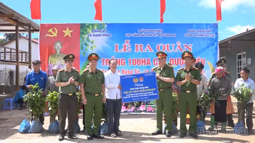 Hạnh Phúc ra quân trồng 100 ha cây dược liệu 