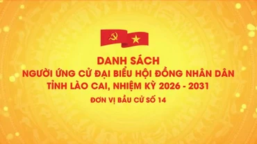 Danh sách chính thức những người ứng cử đại biểu HĐND tỉnh Lào Cai, nhiệm kỳ 2026 - 2031 (đơn vị bầu cử số 14)