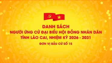 Danh sách chính thức những người ứng cử đại biểu HĐND tỉnh Lào Cai, nhiệm kỳ 2026 - 2031 (đơn vị bầu cử số 15)