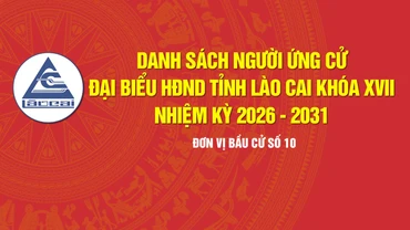 [Infographic] Tiểu sử tóm tắt những người ứng cử đại biểu HĐND tỉnh Lào Cai khóa XVII, nhiệm kỳ 2026 - 2031 (Đơn vị bầu cử số 10)