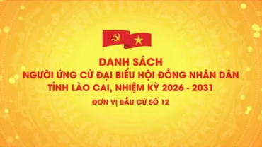 Danh sách chính thức những người ứng cử đại biểu HĐND tỉnh Lào Cai, nhiệm kỳ 2026 - 2031 (đơn vị bầu cử số 12)