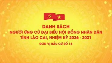 Danh sách chính thức những người ứng cử đại biểu HĐND tỉnh Lào Cai, nhiệm kỳ 2026 - 2031 (đơn vị bầu cử số 16)