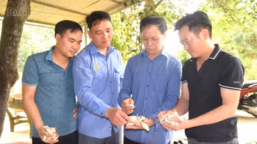 Trao truyền khát vọng, tiếp nối mạch nguồn