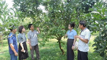  “Chìa khóa” trong công tác giảm nghèo bền vững