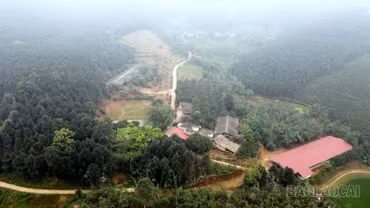  Quy Mông phát triển chăn nuôi theo hướng xanh, bền vững 