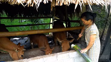 Xã Yên Thành hỗ trợ giảm nghèo “trúng đối tượng, đúng nhu cầu”