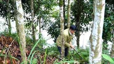 Trưởng thôn gương mẫu “nói đi đôi với làm”