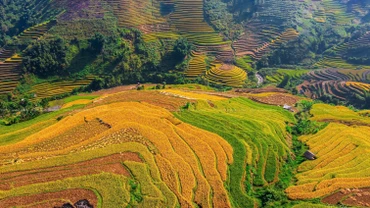 Khẩn trương hoàn thiện hồ sơ Báo cáo đề xuất chủ trương đầu tư Chương trình MTQG