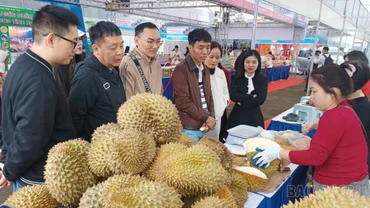 Cơ hội lớn cho nông sản Việt xuất khẩu 