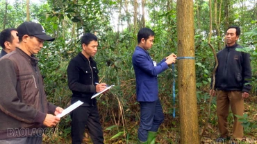 Phường Âu Lâu quan tâm bố trí tái định cư cho người dân