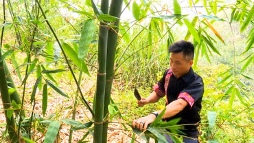 Nghị quyết 21 - trợ lực thúc đẩy phát triển sản xuất