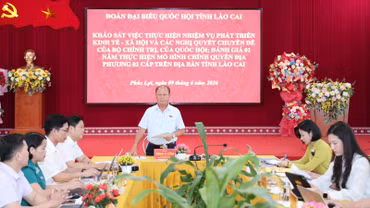 Đoàn đại biểu Quốc hội tỉnh khảo sát tại xã Phúc Lợi