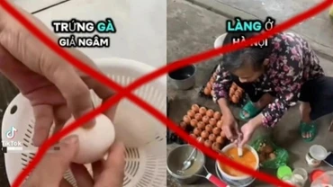 Bác thông tin trứng gà giả trên mạng xã hội