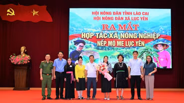 Ra mắt Hợp tác xã nông nghiệp nếp Mò Me Lục Yên