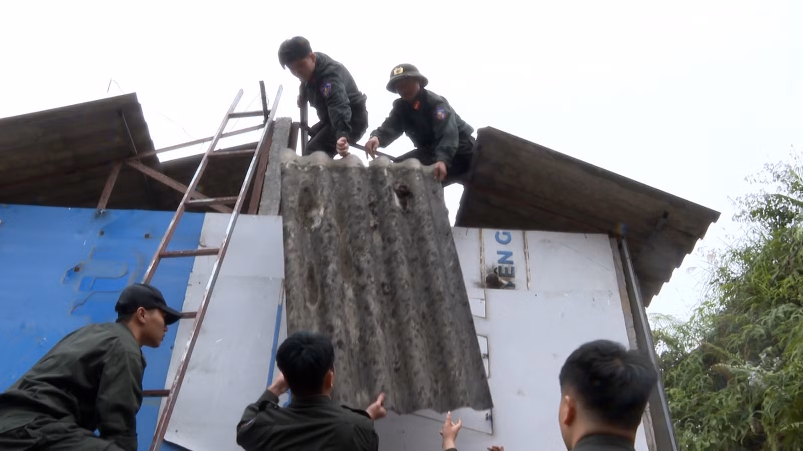 baolaocai-tr_anh-7.jpg