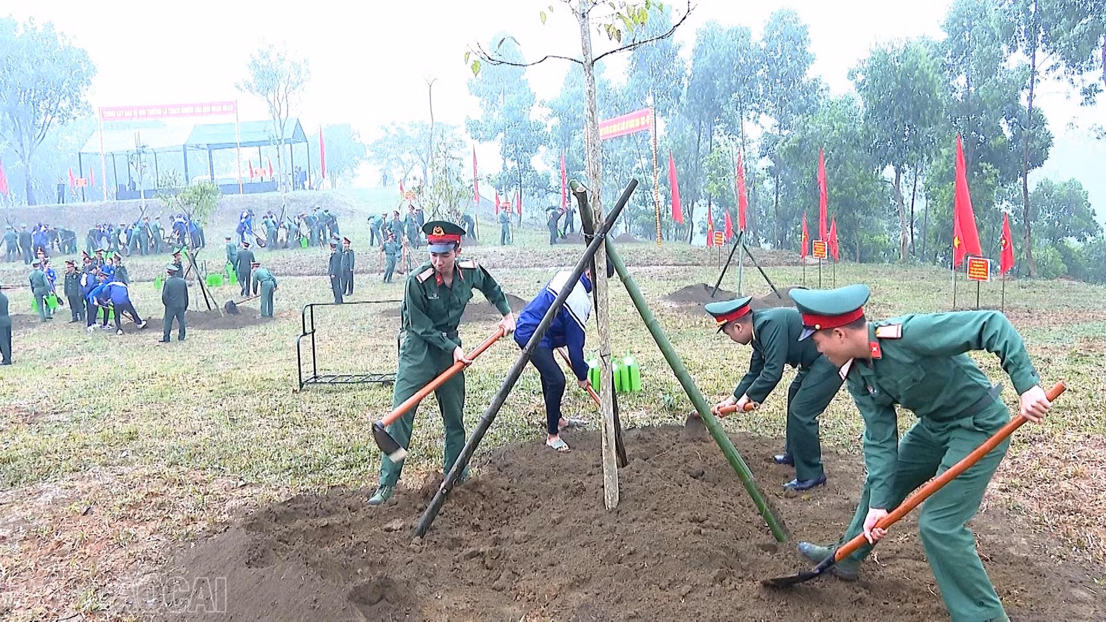 baolaocai-bl_z7552905915347-c498df0c960e61b777dc1a3573c98708.jpg