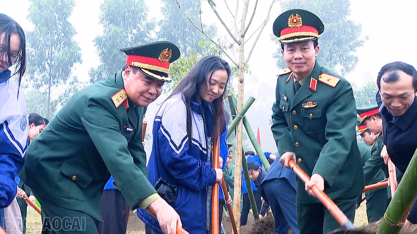 baolaocai-bl_z7552905746165-19329f78cdf58df95a42e79af45e759f.jpg