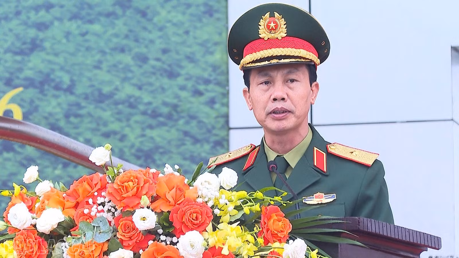 baolaocai-bl_z7552905623103-3c0c73681f3715a051b255a05f323a8a.jpg