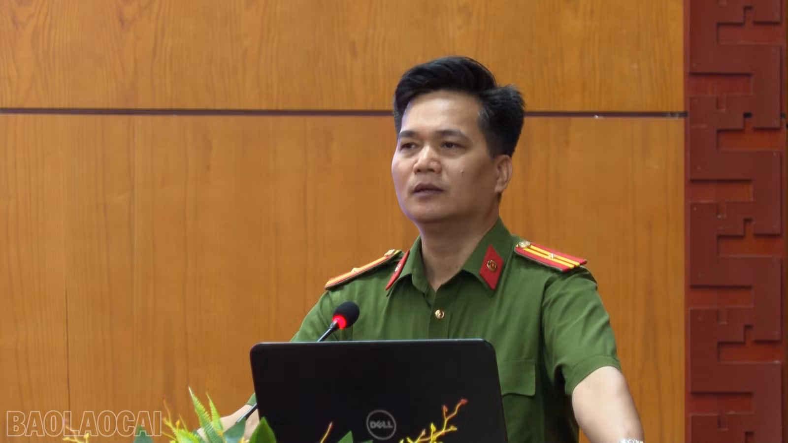 baolaocai-bl_anhr-5.jpg