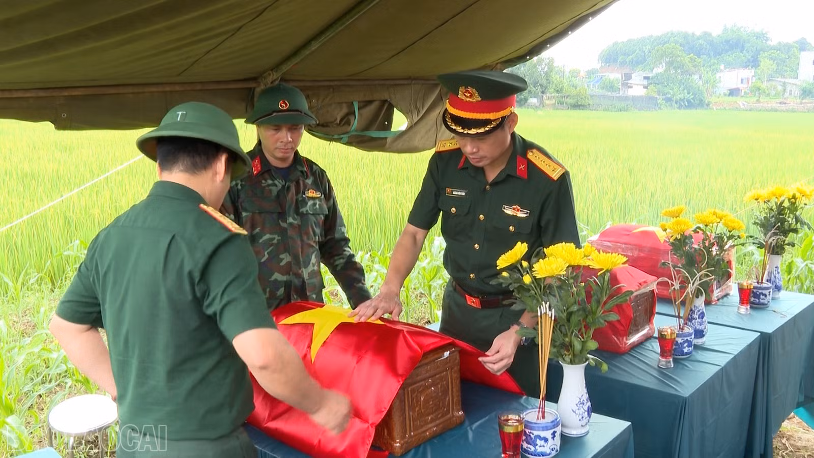 baolaocai-bl_anh-10.jpg
