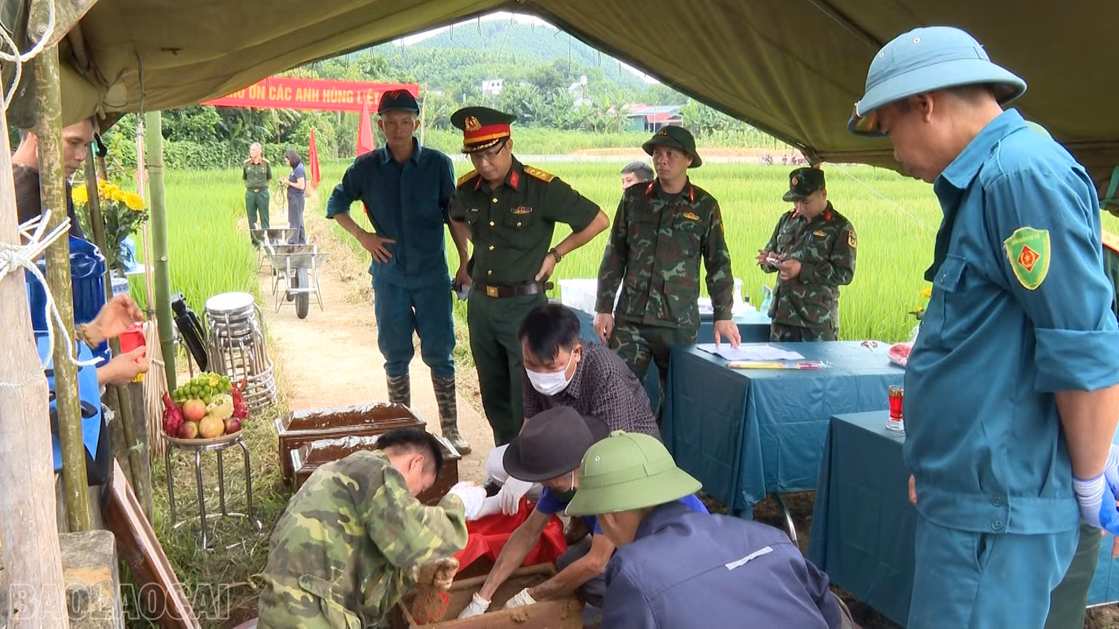 baolaocai-bl_anh-5.jpg