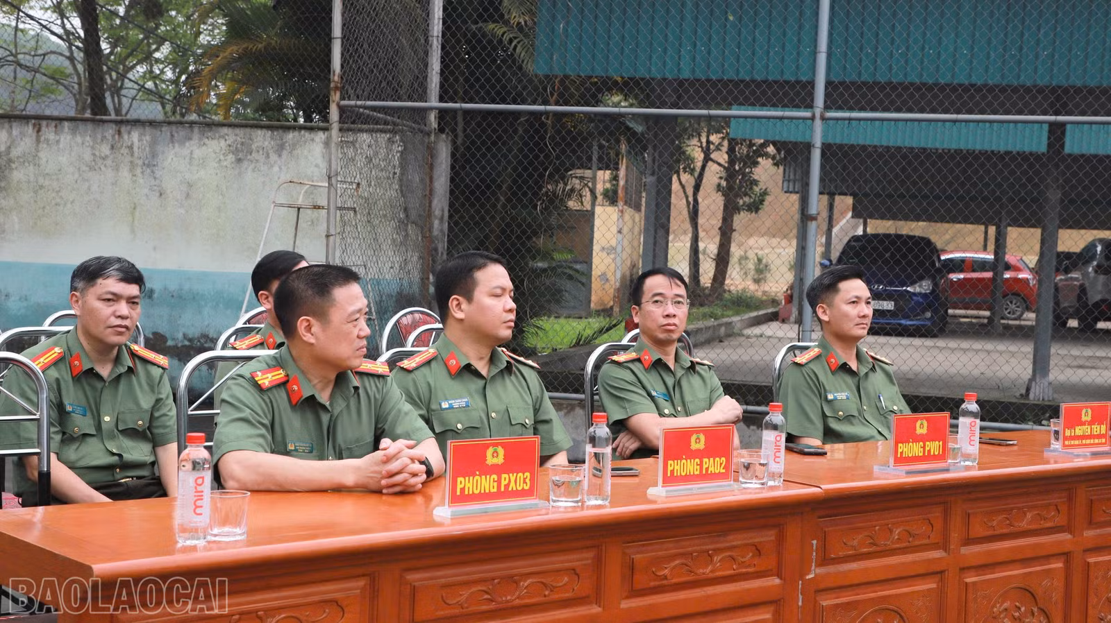baolaocai-bl_z7685801893412-4998f91b0a1f0643fd647539f31ce2e8.jpg