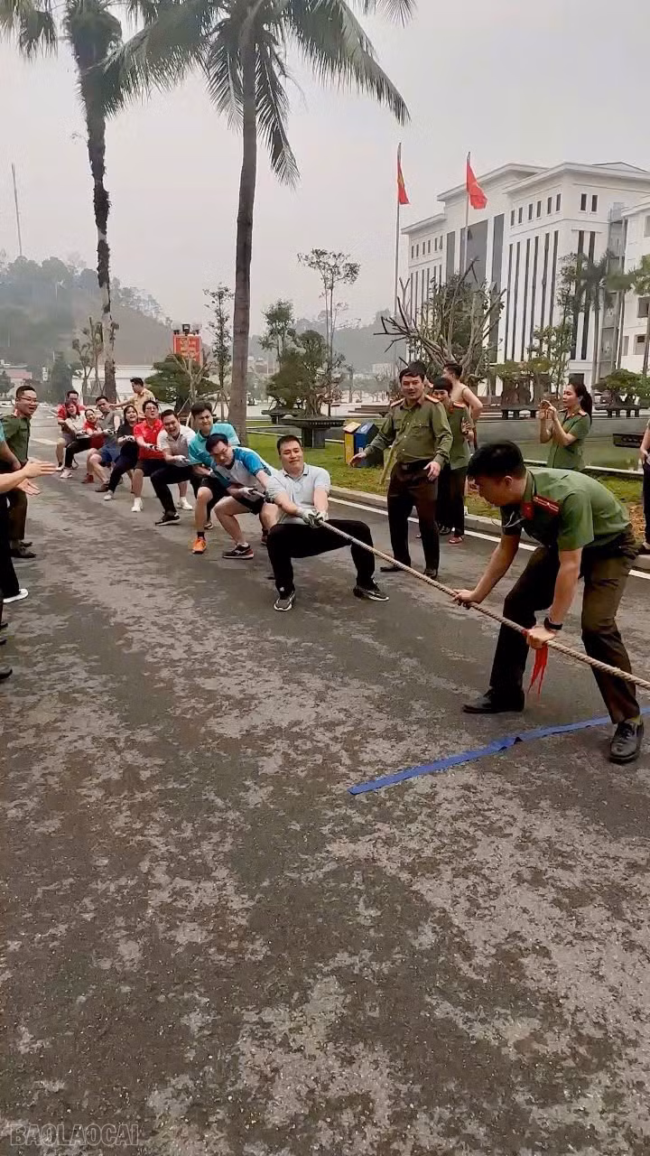baolaocai-bl_z7690691840450-a8838a93d81b73203f89cb062f275e00.jpg