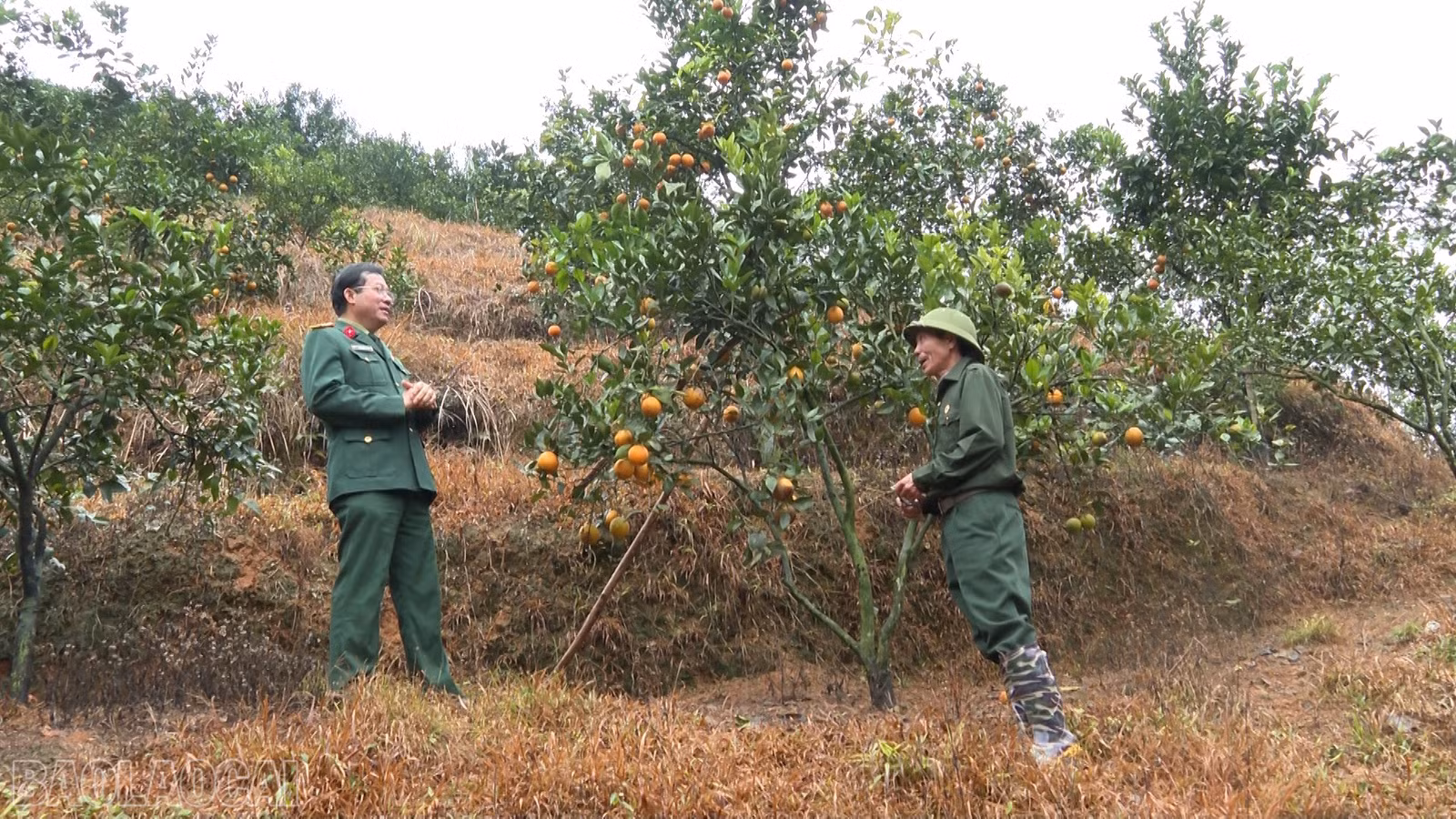 baolaocai-bl_anh-14.jpg