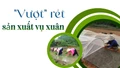 "Vượt" rét sản xuất vụ xuân