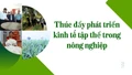 Thúc đẩy phát triển kinh tế tập thể trong nông nghiệp