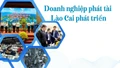Doanh nghiệp phát tài Lào Cai phát triển
