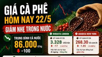 Giá cà phê hôm nay 22/5: Robusta biến động trái chiều, Arabica tiếp tục giảm