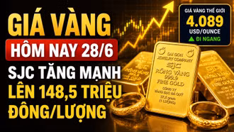 Giá vàng hôm nay 28/6: SJC, BTMC, DOJI, PNJ tăng, vàng thế giới đi ngang