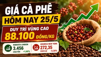 Giá cà phê hôm nay 25/5: Neo cao chờ tín hiệu tuần mới
