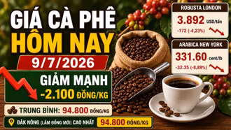 Giá cà phê hôm nay 9/7 quay đầu giảm sâu sau phiên tăng sốc