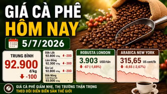 Giá cà phê hôm nay 5/7: Giảm nhẹ, Robusta London đỏ sàn