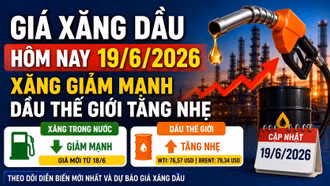 Giá xăng dầu hôm nay 19/6: Xăng giảm sâu, dầu thế giới tăng nhẹ