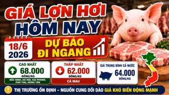 Giá lợn hơi hôm nay 18/6: Thị trường ổn định, khó xuất hiện đột biến