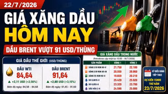 Giá xăng dầu hôm nay 22/7/2026: Dầu Brent vượt 91 USD/thùng
