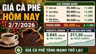 Giá cà phê hôm nay 2/7 tăng mạnh, Robusta và Arabica cùng bứt phá