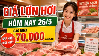 Cập nhật giá lợn hơi 26/5: Mốc 70.000 đồng/kg xuất hiện ở 2 địa phương
