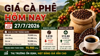 Giá cà phê hôm nay 27/7: Giá nội địa ổn định, sàn thế giới phân hóa
