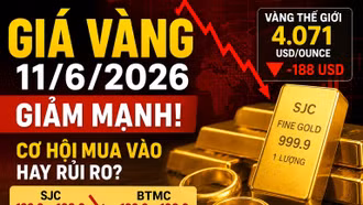 Giá vàng hôm nay 11/6: Vàng SJC, BTMC, PNJ, DOJI có giảm tiếp?