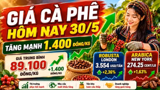 Giá cà phê hôm nay 30/5 tăng vọt, vượt mốc 89.000 đồng/kg