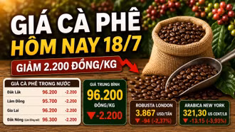 Giá cà phê hôm nay 18/7: Giảm sau hai phiên tăng